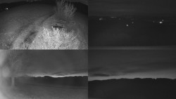 Sdružený snímek Bludný