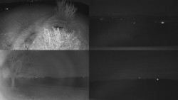 Sdružený snímek Bludný