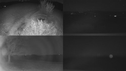 Sdružený snímek Bludný