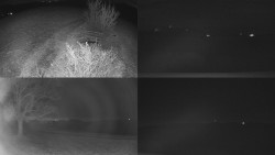 Sdružený snímek Bludný