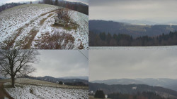 Sdružený snímek Bludný