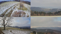 Sdružený snímek Bludný