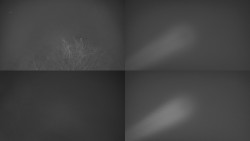 Sdružený snímek Bludný