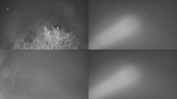 Sdružený snímek Bludný