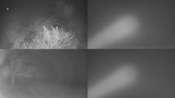 Sdružený snímek Bludný