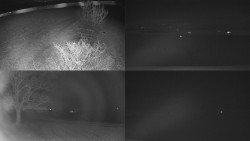 Sdružený snímek Bludný