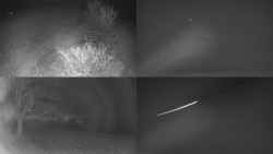 Sdružený snímek Bludný