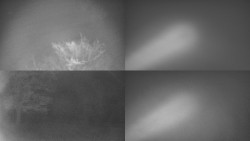 Sdružený snímek Bludný