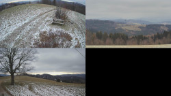 Sdružený snímek Bludný