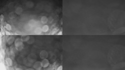 Sdružený snímek Bludný