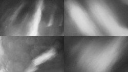 Sdružený snímek Bludný