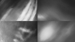 Sdružený snímek Bludný