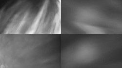 Sdružený snímek Bludný