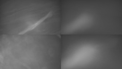 Sdružený snímek Bludný