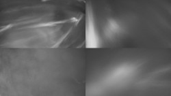 Sdružený snímek Bludný