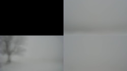 Sdružený snímek Bludný