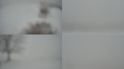 Sdružený snímek Bludný