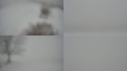 Sdružený snímek Bludný