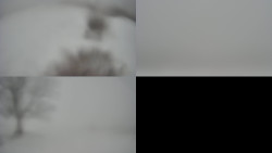 Sdružený snímek Bludný