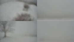 Sdružený snímek Bludný