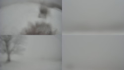 Sdružený snímek Bludný