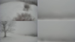 Sdružený snímek Bludný