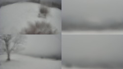 Sdružený snímek Bludný