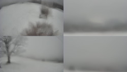 Sdružený snímek Bludný