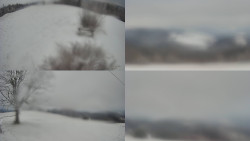 Sdružený snímek Bludný