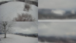 Sdružený snímek Bludný