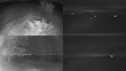 Sdružený snímek Bludný