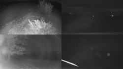 Sdružený snímek Bludný