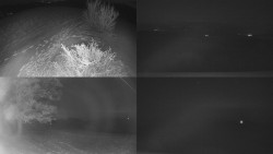 Sdružený snímek Bludný