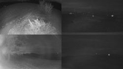 Sdružený snímek Bludný