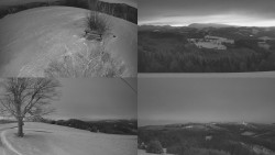 Sdružený snímek Bludný