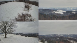 Sdružený snímek Bludný