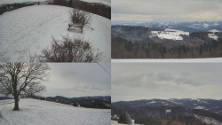 Sdružený snímek Bludný