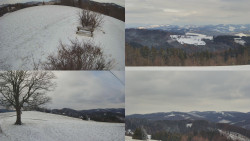 Sdružený snímek Bludný