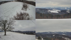 Sdružený snímek Bludný