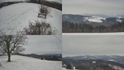 Sdružený snímek Bludný