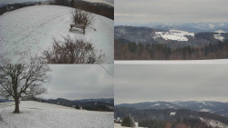 Sdružený snímek Bludný