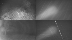 Sdružený snímek Bludný