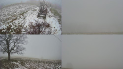 Sdružený snímek Bludný