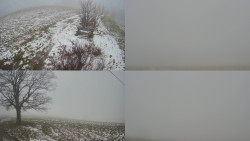 Sdružený snímek Bludný