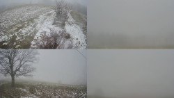 Sdružený snímek Bludný