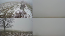 Sdružený snímek Bludný