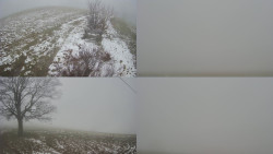 Sdružený snímek Bludný