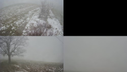 Sdružený snímek Bludný