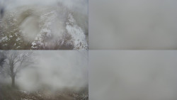 Sdružený snímek Bludný