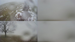 Sdružený snímek Bludný